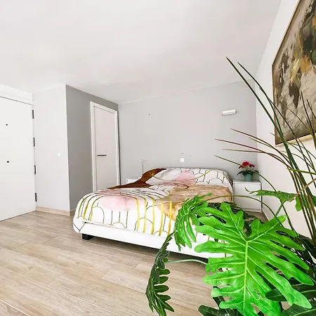 Spacious Studio Next To The Ocean Cs422 Apartment *